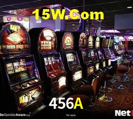 Experiência VIP 456A